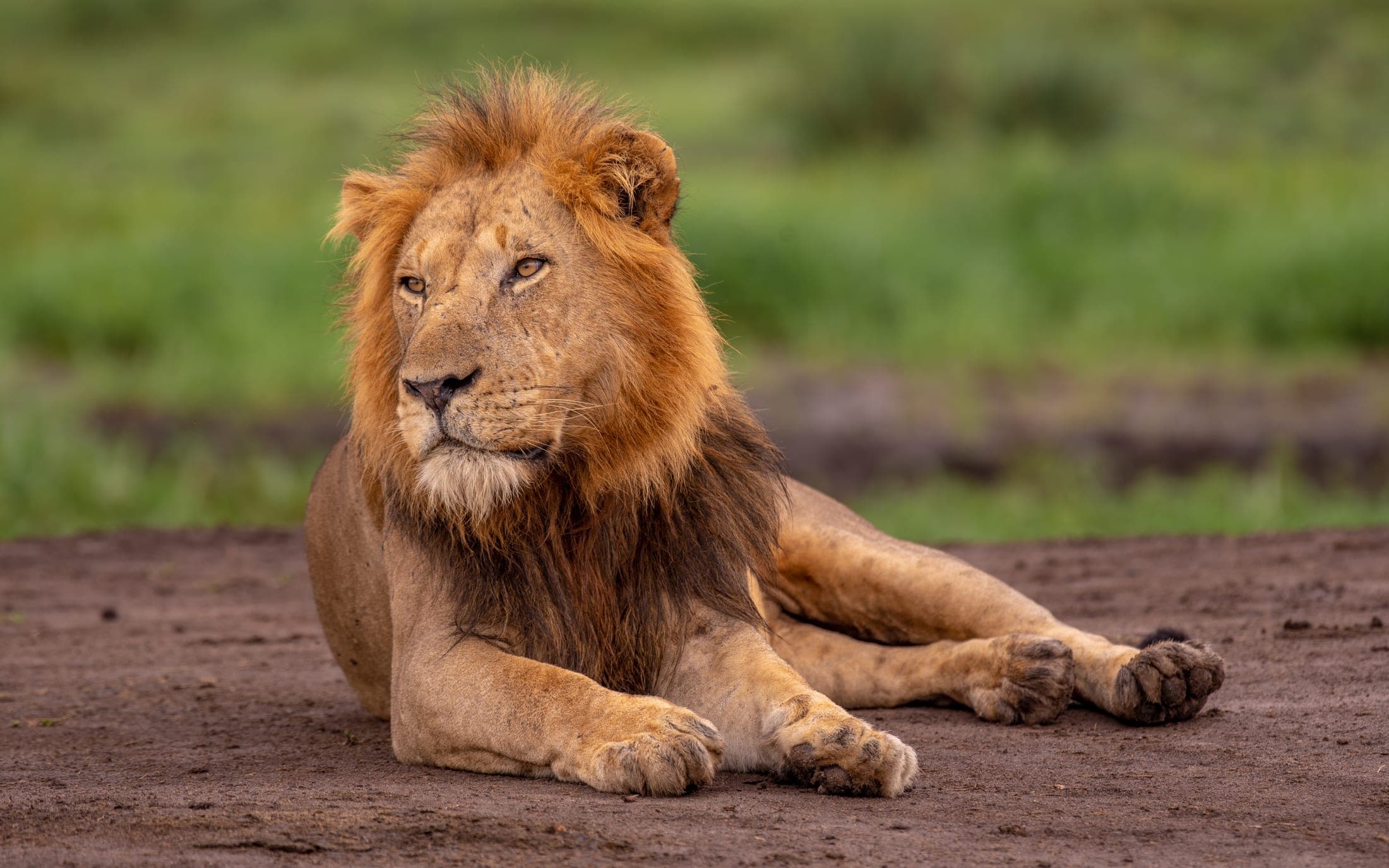 Wildlife & Heritage