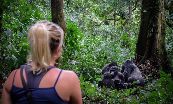 Bwindi Gorilla Experience 4