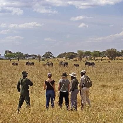 Kidepo Valley National Park
